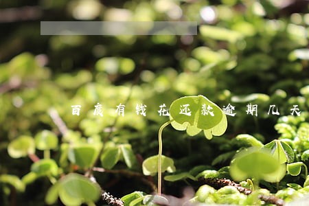 百度有钱花还款逾期几天上征信 百度有钱花还款逾期几天上征信