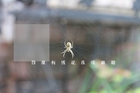 百度有钱花连续逾期 百度有钱花连续逾期