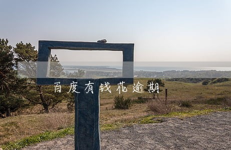 百度有钱花逾期 百度有钱花逾期