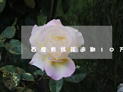 百度有钱花逾期10万有协商吗