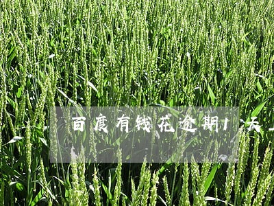 百度有钱花逾期1天上征信 百度有钱花逾期1天上征信