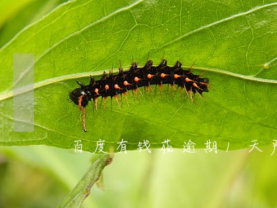 百度有钱花逾期1天严重吗 百度有钱花逾期1天严重吗