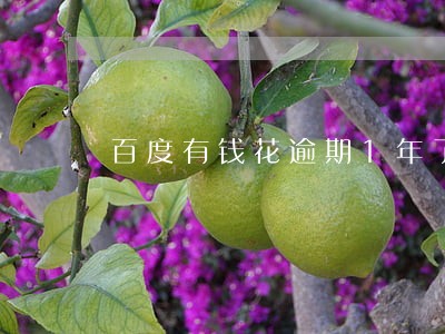 百度有钱花逾期1年了怎么办 百度有钱花逾期1年了怎么办