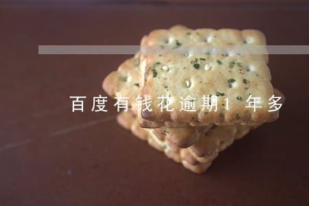 百度有钱花逾期1年多 百度有钱花逾期1年多