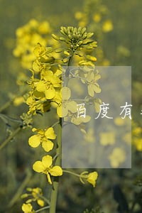 百度有钱花逾期1次还能借吗 百度有钱花逾期1次还能借吗