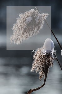 百度有钱花逾期2天有事吗 百度有钱花逾期2天有事吗
