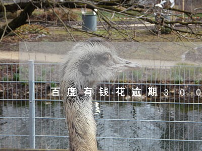百度有钱花逾期3000多 百度有钱花逾期3000多