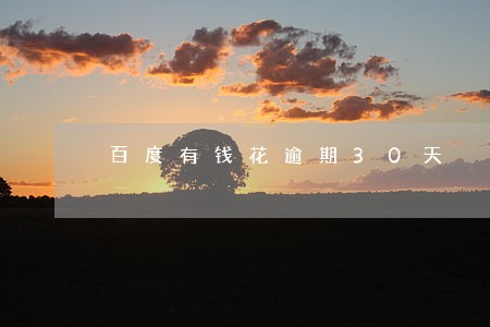 百度有钱花逾期30天 百度有钱花逾期30天