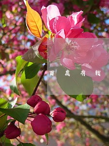 百度有钱花逾期3天 百度有钱花逾期3天