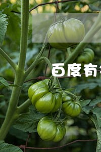 百度有钱花逾期3年了 百度有钱花逾期3年了