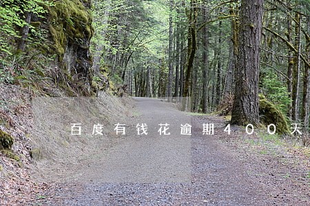 百度有钱花逾期400天 百度有钱花逾期400天
