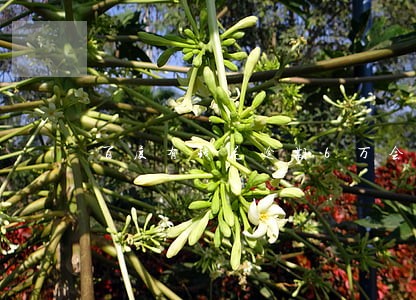 百度有钱花逾期6万会坐牢吗 百度有钱花逾期6万会坐牢吗