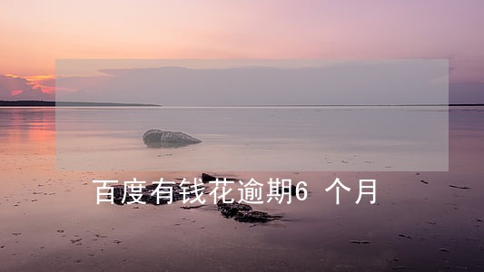 百度有钱花逾期6个月