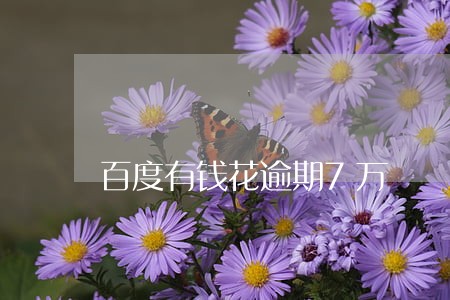 百度有钱花逾期7万 百度有钱花逾期7万