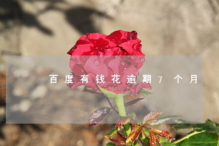 百度有钱花逾期7个月 百度有钱花逾期7个月