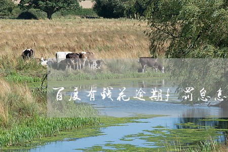 百度有钱花逾期f罚息怎么计算 百度有钱花逾期f罚息怎么计算
