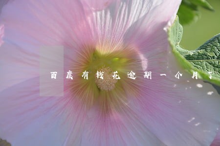 百度有钱花逾期一个月了 百度有钱花逾期一个月了