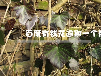 百度有钱花逾期一个月还不上了 百度有钱花逾期一个月还不上了