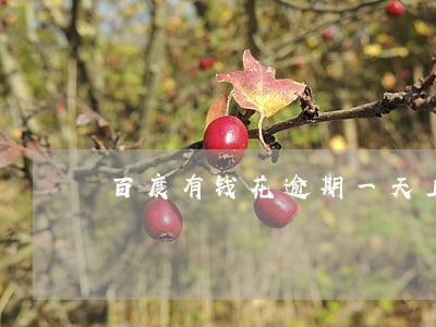 百度有钱花逾期一天上征信 百度有钱花逾期一天上征信