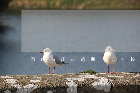 百度有钱花逾期一天不接电话 百度有钱花逾期一天不接电话
