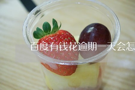 百度有钱花逾期一天会怎样 百度有钱花逾期一天会怎样