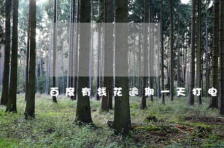 百度有钱花逾期一天打电话吗 百度有钱花逾期一天打电话吗