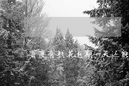 百度有钱花逾期一天还能借吗 百度有钱花逾期一天还能借吗