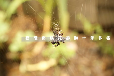 百度有钱花逾期一年多会上门吗 百度有钱花逾期一年多会上门吗