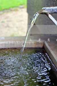 百度有钱花逾期一年还清 百度有钱花逾期一年还清