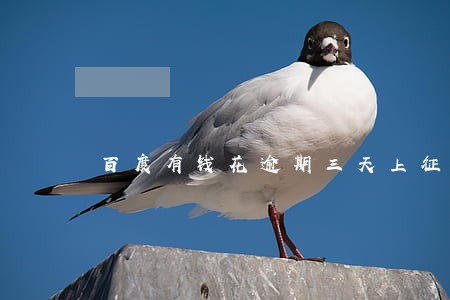 百度有钱花逾期三天上征信 百度有钱花逾期三天上征信