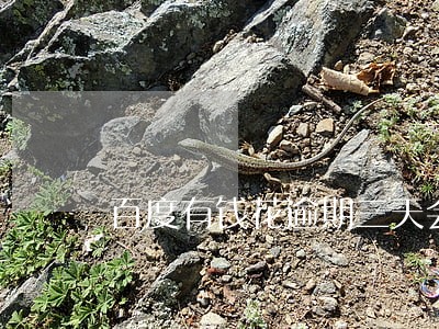 百度有钱花逾期三天会怎么样 百度有钱花逾期三天会怎么样