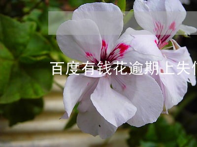 百度有钱花逾期上失信人名单吗 百度有钱花逾期上失信人名单吗