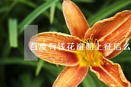 百度有钱花逾期上征信么 百度有钱花逾期上征信么