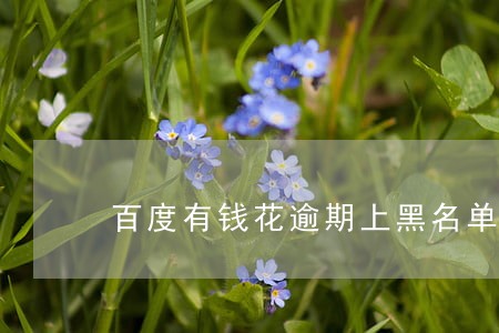 百度有钱花逾期上黑名单
