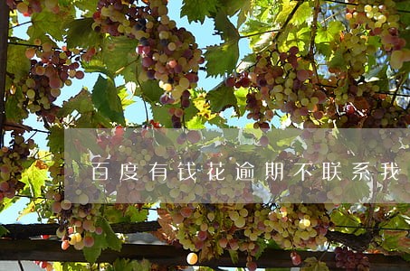 百度有钱花逾期不联系我 百度有钱花逾期不联系我