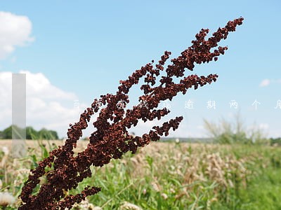 百度有钱花逾期两个月会怎样 百度有钱花逾期两个月会怎样