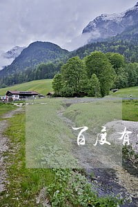 百度有钱花逾期两个礼拜 百度有钱花逾期两个礼拜