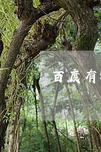 百度有钱花逾期两千多 百度有钱花逾期两千多