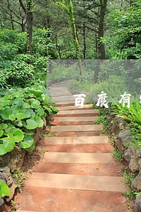 百度有钱花逾期两天就要全还 百度有钱花逾期两天就要全还
