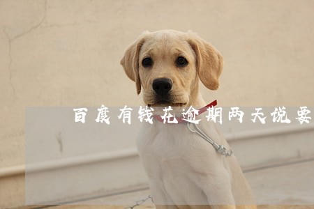 百度有钱花逾期两天说要上门 百度有钱花逾期两天说要上门