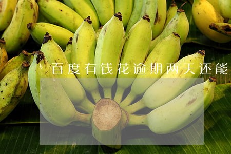 百度有钱花逾期两天还能借吗 百度有钱花逾期两天还能借吗