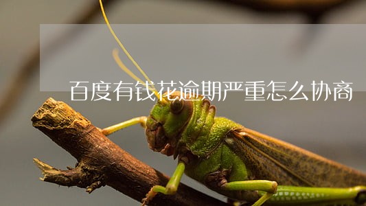 百度有钱花逾期严重怎么协商 百度有钱花逾期严重怎么协商
