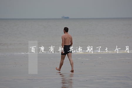 百度有钱花逾期了3个月