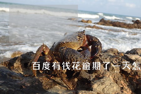百度有钱花逾期了一天怎么办 百度有钱花逾期了一天怎么办