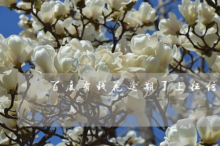 百度有钱花逾期了上征信 百度有钱花逾期了上征信