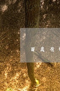 百度有钱花逾期了上征信吗 百度有钱花逾期了上征信吗