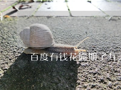 百度有钱花逾期了九天 百度有钱花逾期了九天