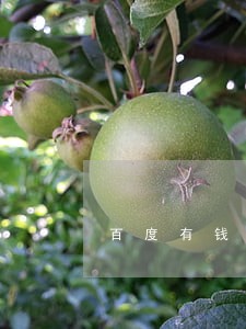 百度有钱花逾期了会怎样 百度有钱花逾期了会怎样