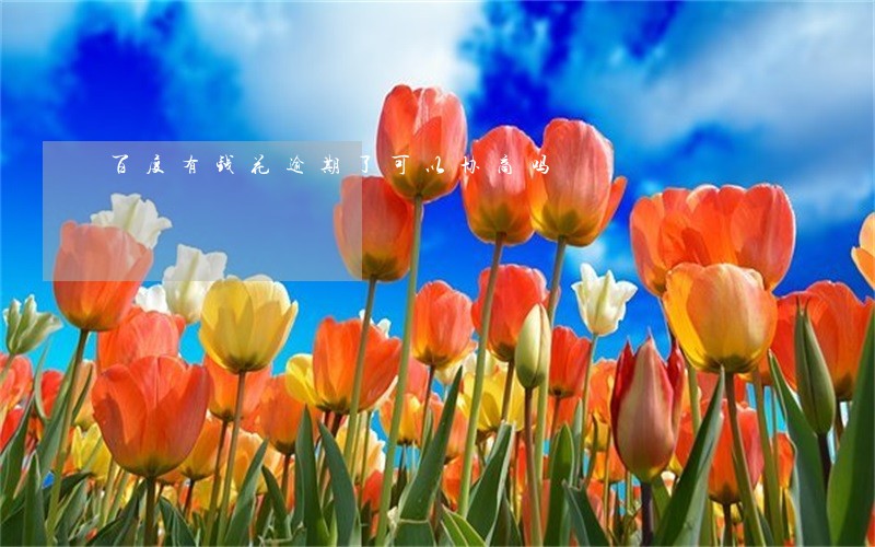百度有钱花逾期了可以协商吗 百度有钱花逾期了可以协商吗