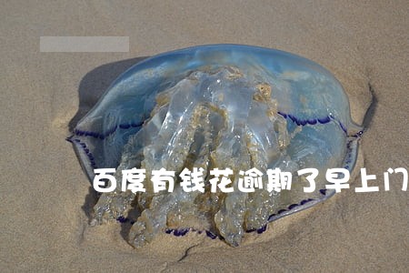 百度有钱花逾期了早上门 百度有钱花逾期了早上门